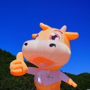 축산기업중앙회횡성군지부 | 2022년도 '제18회 횡성한우축제' 안내