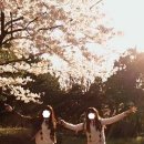 철원여자고등학교 이미지