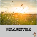 바람꿈 해몽 바람부는꿈 바람에날아가는꿈 상황 맞게 풀이 이미지