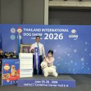 잇츠그루밍애견미용학원 | 2026태국임팩트도그쇼 #부천잇츠그루밍애견미용학원