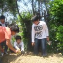 대전대문초등학교 이미지