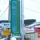 엘마르민박 이미지