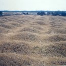 상모리-1 이미지