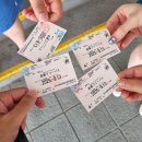 차 : '하코네 → 후지산역' 버스이용ㅣ미마수 식당(카츠동 맛집)ㅣ게스트하우스 코코야(한국 사장님) 후기!
