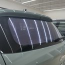 지라인 | 미라지그린(SX2) 컬러 베뉴 - 솔라가드 지라인 추천