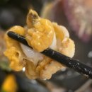 아이싱싱회 | 사상 맛집 스끼다시가 코스요리급인 아이싱싱회 솔직후기