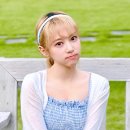 첼루빠빠 Daum카페