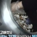 늘솜김밥 - 양산시 평산중앙로 74 | 늘솜김밥