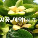 시화로1 이미지
