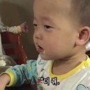 갤러리밥스 이미지