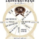 [책후기] 궁궐에 핀 비밀의 꽃, 궁녀(역사 속 궁녀들의 이야기)