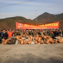 정화상사 Daum카페