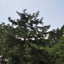 강릉커피박물관 이미지
