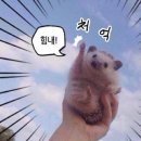 휴인서비스 | #W-6 목포 하객포유 축의대대행 내돈내산 계약후기 (할인 짝꿍코드 공유)