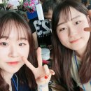 종화농장 | [정서지원멘토링] 딸기농장체험, 딸기수확, 딸기아이스크림 만들기