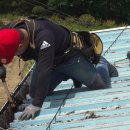 수리수리 이미지