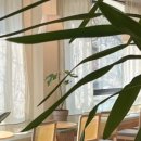 피노 키즈펜션 이미지