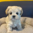 연제구-045 이미지