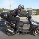 회령만두 이미지