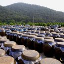 삼보식품(주) Daum카페