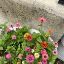 플로팅웨일 설악도적폭포스테이 | 💙[속초여행]1박2일 숙소_숲뷰&amp;바베큐장&amp;계곡_플로팅웨일 설악도적폭포스테이🏡