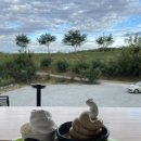 영기목장 이미지