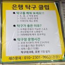 시흥대야역 근처 은행탁구클럽 초보자도 부담 없이 즐기는 핫플!