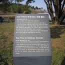 독동 이미지