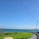 제주마중 협재 | 제주도협재 제주도바닷가펜션 가족들과 제대로 힐링하고온 제주마중펜션 후기