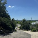 비버튼 | 평택 트리하우스 비버튼 숙박 솔직후기