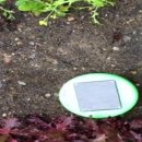 태송농장 이미지