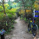 무학산 둘레길 이미지