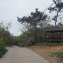 화흥농장 티스토리