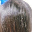유아 미세먼지 올인원 샴푸 바디워시 따아프쉴드