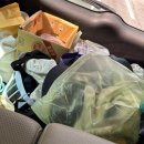 콩밭매는 강아지 | 청양애견펜션 충남애견펜션 콩밭매는댕댕이 A-3 내돈내산 솔직후기