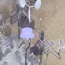 철물존