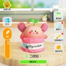 오늘의가든. 엔비 실내룸슈즈 배송후기. 커플 실내화 신혼템 완성 ( 오늘의집 앱테크 추천 )