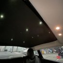 리리프 | 테슬라 모델 3 롱 레인지 후기 (feat. 리리프)