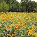 드림파크 이미지