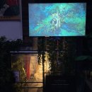 스테이인블루 | [강남칵테일바] 몽환적인 ‘Stay in 비밀의 정원’ (강남 룸술집 데이트 2차 장소는 여기로!)