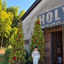 썬목장 | 제주 대한목장 아이랑 다녀온 후기🐴 먹이주기 체험 가능한 제주 목장 | 홀스테라피 강추