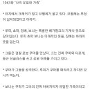 스포) 원피스 1063화 획정스포 이미지