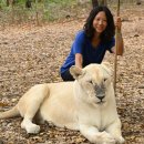 21세기 도시계획 | 세계여행 1년 루트 나라 해외여행 블로거의 세계일주 후기