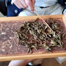 한국차문화박물관 이미지