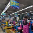 민락수변로 | 광안리 회센터 &#39;민락타운 함양상회&#39; 방어&amp;밀치 포장후기