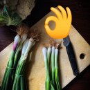 총백한의원 이미지