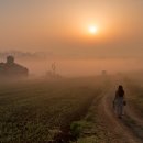 안성목장 이미지