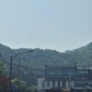 꽃시장식물원 조경 | 강화도 당일치기 코스 추천 2탄! 화개정원, 화개모노레일 꿀팁 총정리