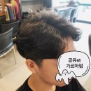 브라더살롱 이미지