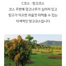 왔다 파크 이미지